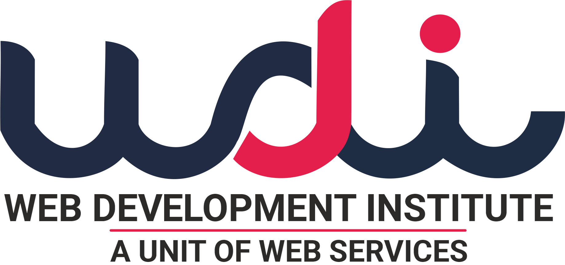 web development institute
